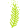Branch Motif