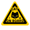 Cat on board - humor