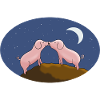 Pigs in love