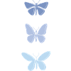 Beautiful Butterfly Design