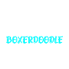 Boxerdoodle