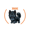 Café et Mudi