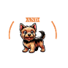 Café et Norwich Terrier