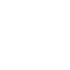 Funny little canary design