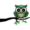 Owl Owl Night Owl