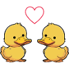 Amour du canard