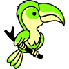 parrot