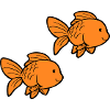 Fish Goldfish
