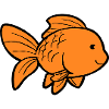 Fish Goldfish