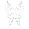 Angelwings Ailes d’ange