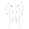 Angelwings Angel´s wings