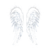 Angelwings Angel´s wings