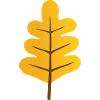 Oak Leaf
