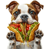 Chien