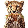 Guépard