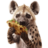Hyena