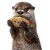 Otter