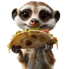 Suricate