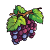 Grapes Symbol