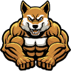 Akita Dog Muscles Bodybuilding