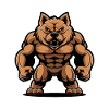 Chow Chow Dog Muscles Bodybuilding