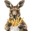 Kangaroo
