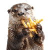 Otter