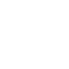 Pilot Airplane