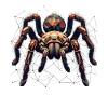 Tarantula Large Spider Polygon Art