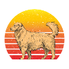 Golden Retriever Retro Sunset