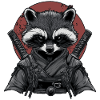 Ninja raton laveur