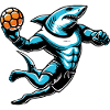Le requin beach handballeur