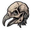 Vulture Head Skeleton