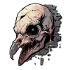 Vulture Head Skeleton