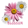 Blossom Power