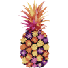 Pineapple tropical hawaiian fruit