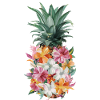 Pineapple tropical hawaiian fruit