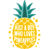 Pineapple tropical hawaiian fruit