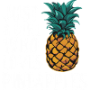 Pineapple tropical hawaiian fruit