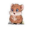 Cheerful hamster
