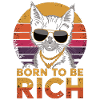 Wealth cat with sunglasses