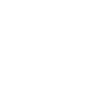 Schädel aus Vögeln Design