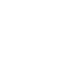 White dodecahedron
