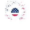 Liberty Sunflower USA Flag