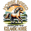 Icelandic Horse Icelander