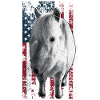 Cheval Islandais US Islander