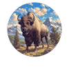 Bisons Bison