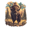 Bisons Bison