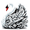 Swan