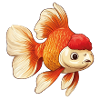 Veiltail Oranda Goldfish
